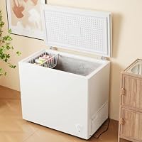 Amazon | 冷凍庫 90L 大容量 温度調節7段階 家庭用 業務用 チェスト